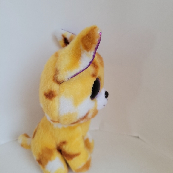 TY Beanie Boo Plush - Pablo the Chihuahua 6" - Picture 3 of 5